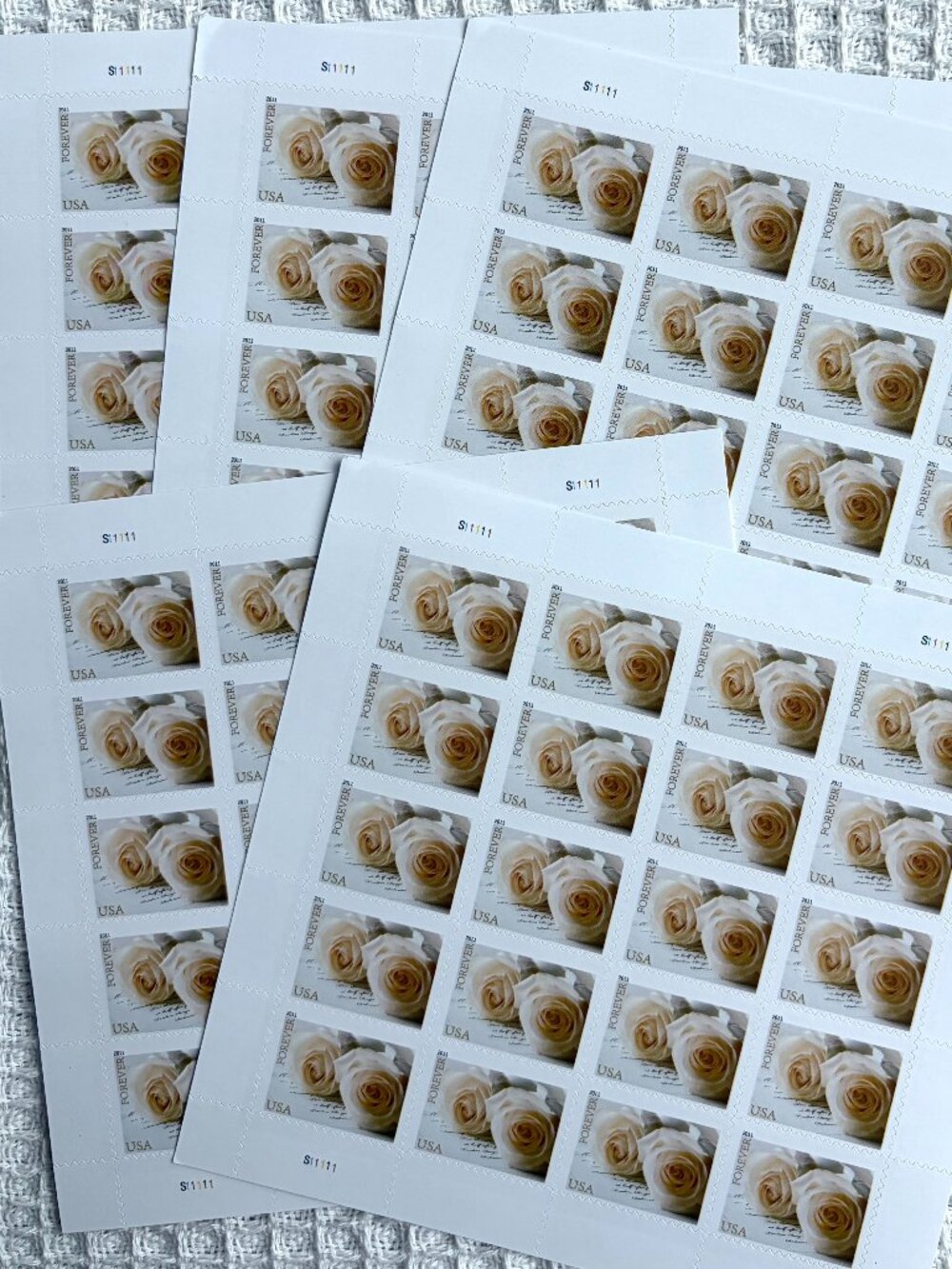 5 Books Forever Rose Stamp Sheet - Cream Yellow Floral Design